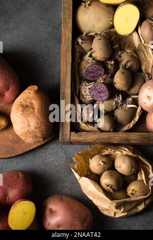 Various varieties of potatoes. Germination of sprouts on potatoes for planting in the ground Stock Photo