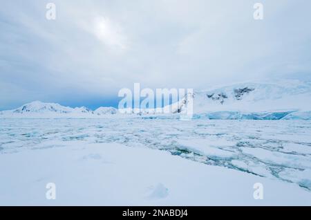Pack ice in the Neumayer Channel; Antarctica Stock Photo