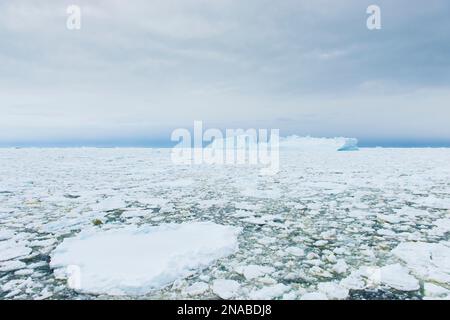 A giant iceberg floats amidst a sea of pack ice in the French Passage, off the coast of Antarctica; Antarctica Stock Photo