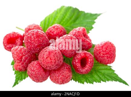Ripe raspberry with green leaf on white Stock Photo
