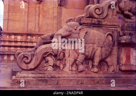 The temple has a massive colonnaded prakara (corridor) and one of the largest Shiva lingas in India. It is also famed for the quality of its sculpture, as well as being the location that commissioned the brass Nataraja, Shiva as the lord of dance, in the 11th century. King Rajaraja Chola Stock Photo