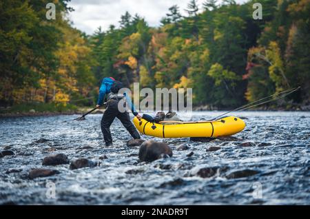 A fly fisherman dragging his packraft in fall in a river Stock Photo