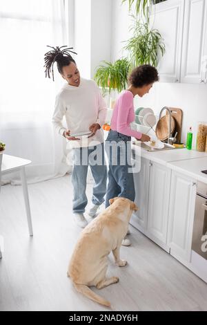 Smiling african american couple washing dishes near labrador in kitchen Stock Photo