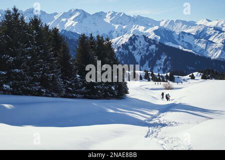 Hikers in a group climb the mountains on a sunny weekend in winter. Stock Photo