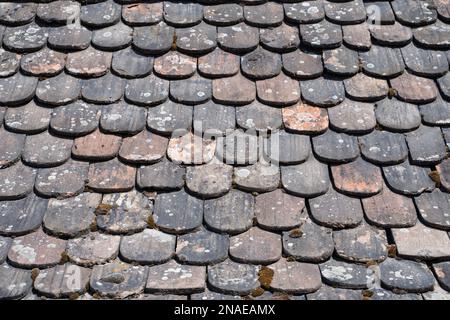 Old medieval gray and brown clay roof tiles with green moss. Outdoor cleaning Stock Photo