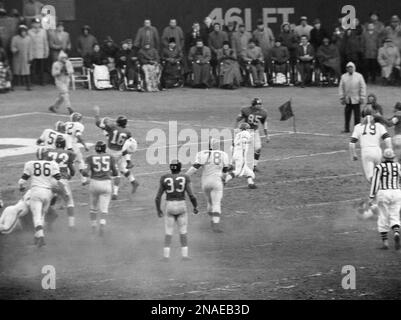 New York Giants quarterback Charley Conerly (42) hands off the ball to Alex  Webster (29) as part of a double hand-off and lateral play resulting in the  only touchdown of the NFC