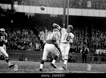 Fran Tarkenton, New York Giants quarterback, shows why he is known for his  scrambling finesse as he evades Cardinals in first quarter of game and  prepares to throw a pass in New