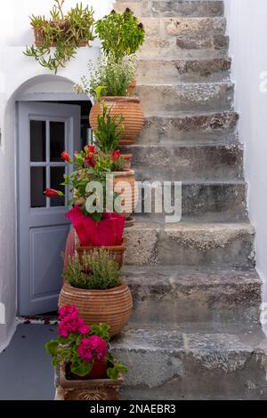 Ceramic flower pots on steep stone steps at Imergovigli, Santorini, Greece Stock Photo