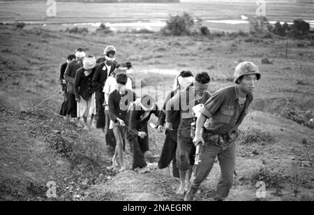 Viet Cong prisoners captured during operations in Vietnam. circa 1960 ...