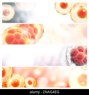 Collection of horizontal banners with organic cells. Virus, germ or bacteria on abstract background. Set of science backdrop with cell stem. Copy spac Stock Photo