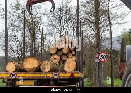 Deforestation and stacking logs on a truck with a tractor equipped with arm and grab for lifting logs Stock Photo