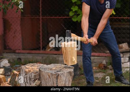 A woodcutter cuts logs for firewood for the winter. Stock Photo