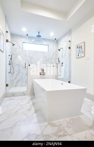 Wide Angle View of Garden Tub and Walk-In Shower in Modern Bathroom Stock Photo