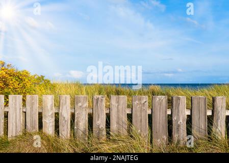 wooden fence on beach grass covered dunes against sea and blue sky Stock Photo