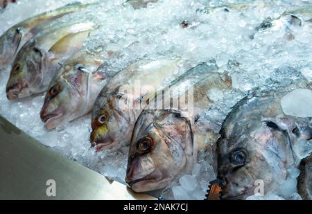 Zubidi fish, Mina District Fish Market, Old Doha Port, Qatar Stock Photo