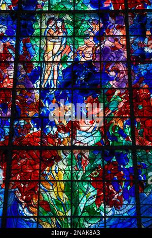 Monumental stained glass window La Paix, the Peace, by Marc Chagall in the Chapelle des Cordeliers, 18th century Franciscan chapel, Sarrebourg or Stock Photo