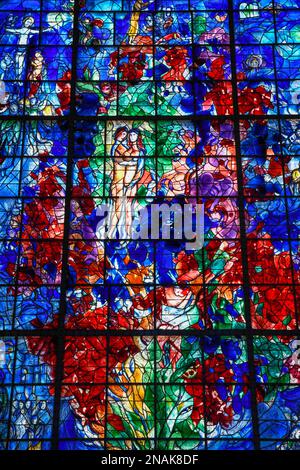 Monumental stained glass window La Paix, the Peace, by Marc Chagall in the Chapelle des Cordeliers, 18th century Franciscan chapel, Sarrebourg or Stock Photo
