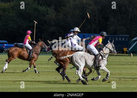 MIDHURST, WEST SUSSEX/UK - SEPTEMBER 1 : Playing polo in Midhurst, West Sussex on September 1, 2020. Unidentified people Stock Photo