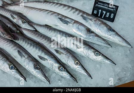 Barracudas, Fish market, Mina District, Old Doha Port, Qatar Stock Photo