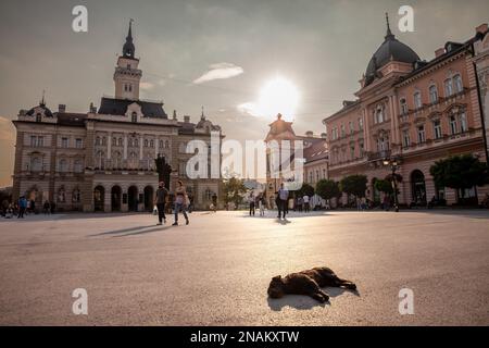 Picture of the central square of novi sad, Serbia, called Trg Slobode, with the city hall in background and pedestrians passing by and the svetozar mi Stock Photo