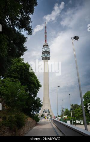 Picture of the Avala tower seen from the nearby forest. The Avala Tower is a 204.68 m tall telecommunications tower located on Mount Avala, in Belgrad Stock Photo