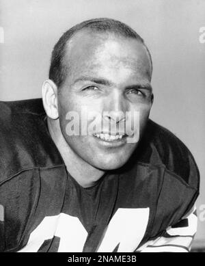 Carroll Dale of the Green Bay Packers is shown in action against the Minnesota  Vikings in Minneapolis, Minn., Nov. 21, 1965. (AP Photo Stock Photo - Alamy