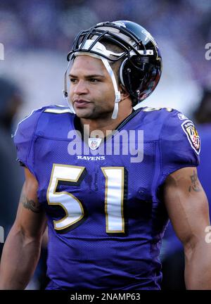 Brendon Ayanbadejo Released By The Baltimore Ravens - Outsports