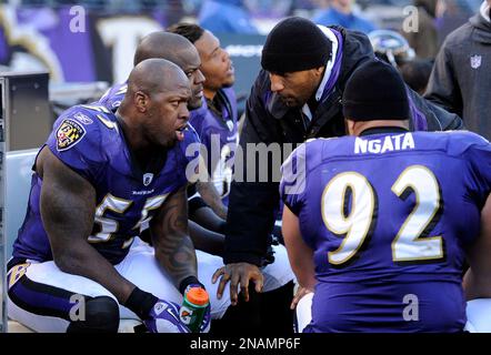 Baltimore Ravens on X: Don't miss our Legend of the Game, Terrell Suggs, on  Ravens Pregame Live today! We go live at 12 p.m. on the Ravens app,  website,   channel and