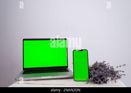 dried lavender flowers Mockup image of Laptop, tablet and mobile blank green screen in vertical position isolated on green background, Concept device mockup. Stock Photo