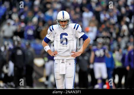 Indianapolis Colts quarterback Dan Orlovsky (6) is shaken up after a hard  hit in the first half of their game on Thursday, December 22, 2011, in  Indianapolis, Indiana. (Photo by Sam Riche/MCT/Sipa