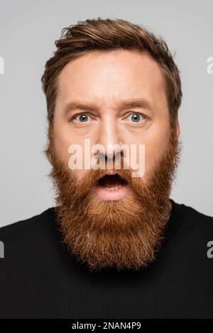 portrait of shocked bearded man with open mouth looking at camera isolated on grey,stock image Stock Photo