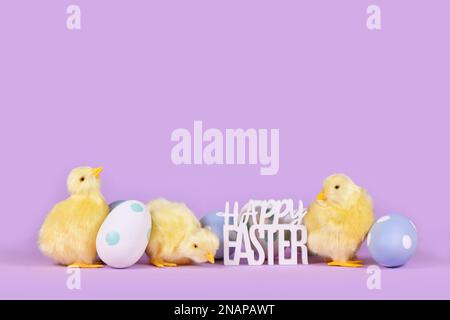 Pastel colored easter eggs, chicken and text 'Happy Easter' on violet background with copy space Stock Photo