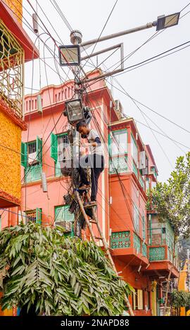 A local man working on electric lights and telephone wires at height up a ladder in Fariapukur, Shyam Bazar, a suburb of Kolkata, West Bengal, India Stock Photo