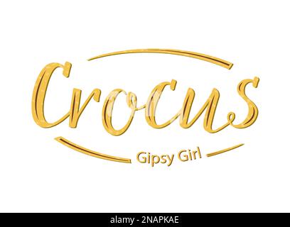 Crocus Gipsy Girl handwritten Lettering. Yellow letters with brown stripes as yellow flowers with brown stripes of the crocus variety Gipsy Girl. For Stock Vector
