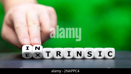 Hand turns dice and changes the word extrinsic to intrinsic. Stock Photo