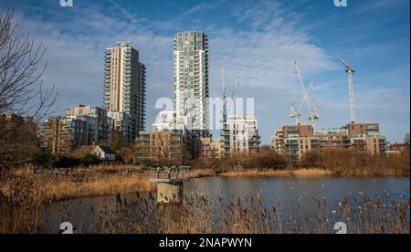 New housing developments along the edge of Woodbury Wetlands on the East Reservoir, Harringay, London, UK Stock Photo