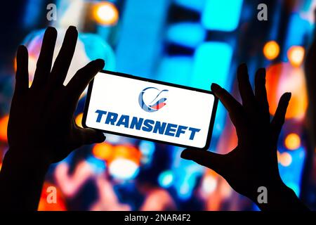Brazil. 13th Feb, 2023. In this photo illustration, the Transneft logo is seen displayed on a smartphone. Credit: SOPA Images Limited/Alamy Live News Stock Photo