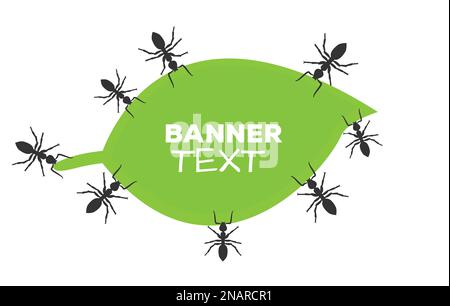 Ant horizontal banner Stock Vector