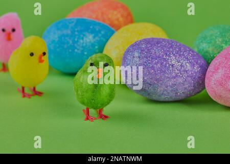 Multi coloured eggs with on a green surface. multi coloured chicks Stock Photo