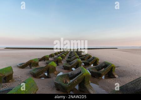 Wallasey, UK: Coastal defence groynes stretching out to sea on the North Wirral shore. Stock Photo