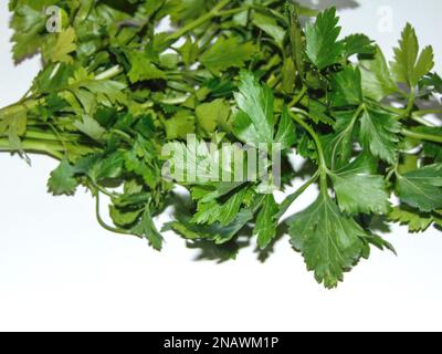 green and fresh parsley isolated on white Stock Photo