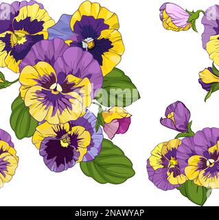 pansies floral seamless pattern, vector illustration. viola, yellow and purple flowers green leaves Stock Vector