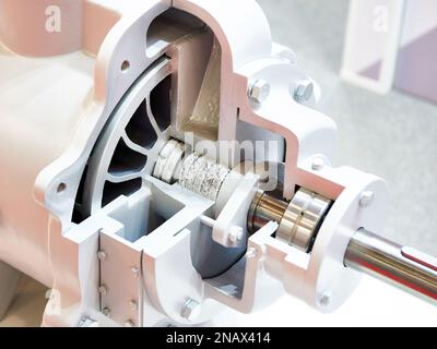 Vacuum water ring pump in the section Stock Photo