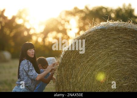 A woman rolls reel of hay across the field, hard women's work in the field, difficult women's fate, slave women's labor Stock Photo