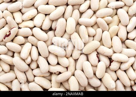 Background of white beans. Bunch of beans on white background Stock Photo