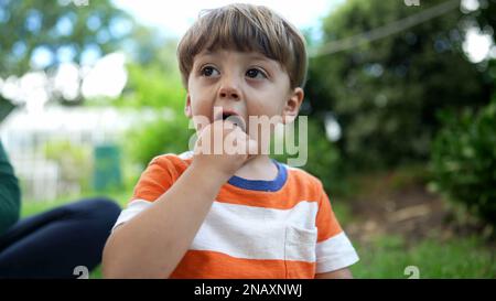 One cute little boy eating blueberries snack in picnic. Portrait adorable child eats nutritious food in family weekend activity Stock Photo