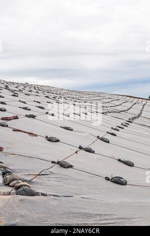 Weighted plastic sheeting covers a hillside in an active landfill.  Probably PVC geomembranes. Stock Photo