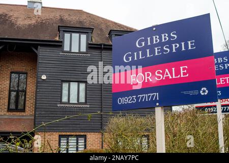 Rickmansworth, Hertfordshire, UK. 12th February, 2023. Estate Agents for sale boards and a to let sign outside a block of apartments in Rickmansworth, Hertfordshire. As the cost of living crisis continues and mortgage rates have risen, houses prices are predicted to continuing falling in 2023. Credit: Maureen McLean/Alamy Stock Photo