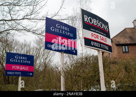 Rickmansworth, Hertfordshire, UK. 12th February, 2023. Estate Agents for sale boards and a to let sign outside a block of apartments in Rickmansworth, Hertfordshire. As the cost of living crisis continues and mortgage rates have risen, houses prices are predicted to continuing falling in 2023. Credit: Maureen McLean/Alamy Stock Photo