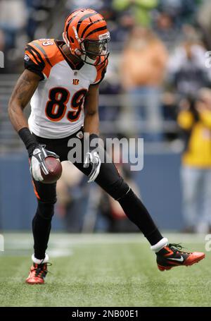 Cincinnati Bengals Jerome Simpson makes a touchdown against the Seattle  Seahawks in the first half of an NFL football game, Sunday, Oct. 30, 2011,  in Seattle. (AP Photo/Ted S. Warren Stock Photo 